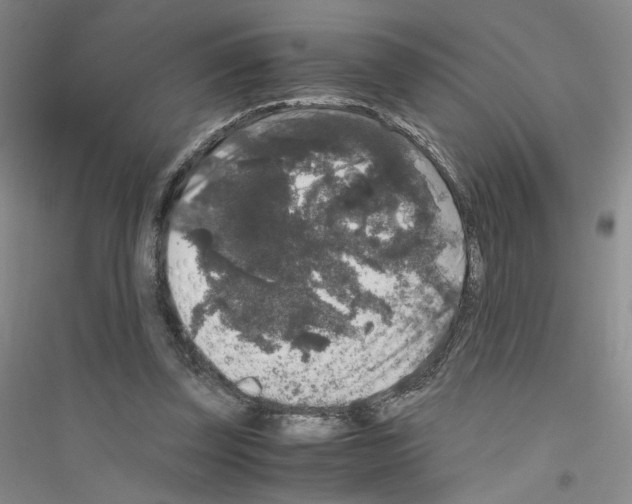 X0000116780347201001281659