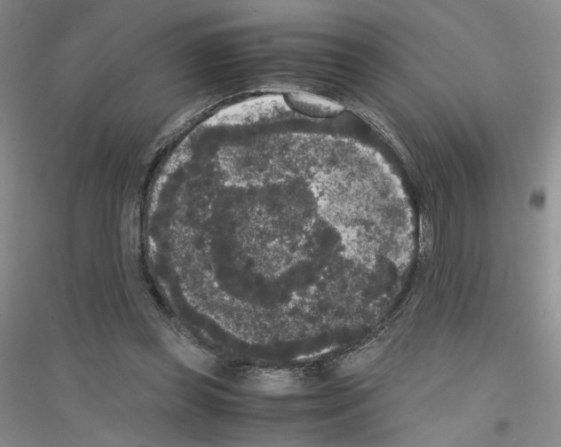 X0000116780349201001281659