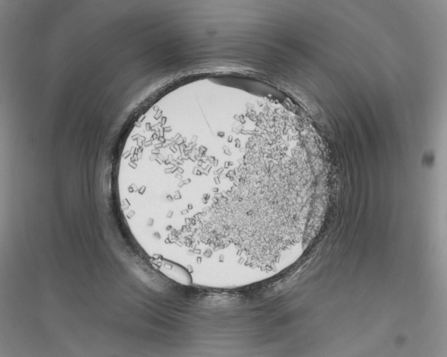 X0000116780350201001281659