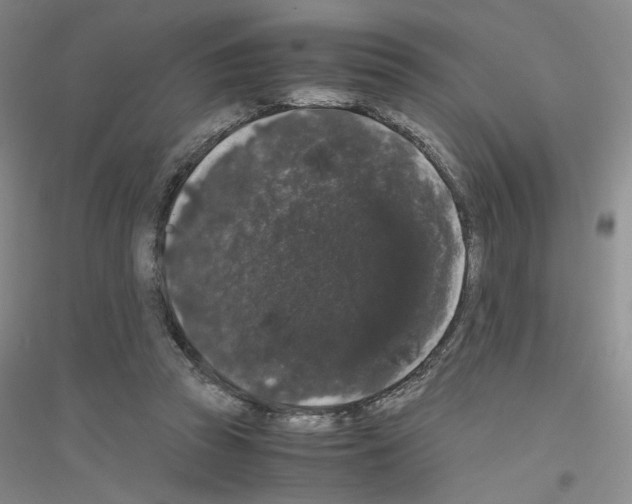 X0000116780353201001281659