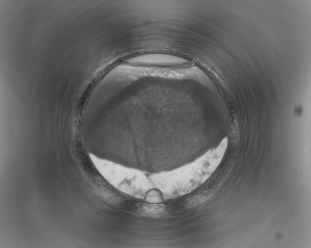 X0000116780355201001281659