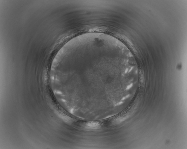 X0000116780357201001281659