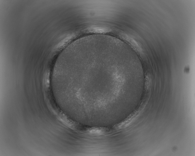 X0000116780358201001281659