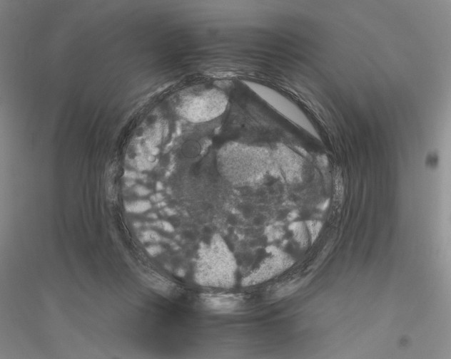 X0000116780359201001281659