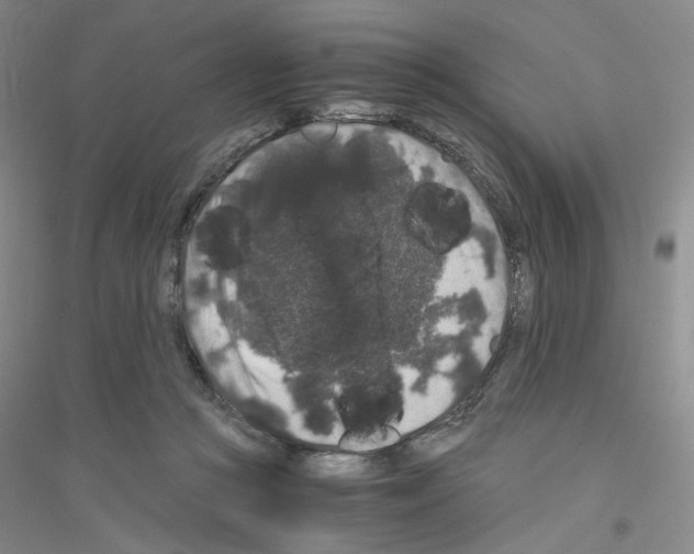 X0000116780361201001281659