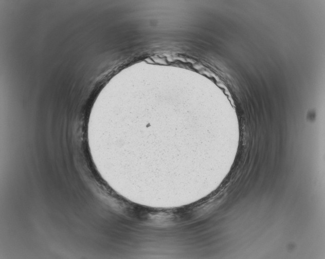 X0000116780362201001281659