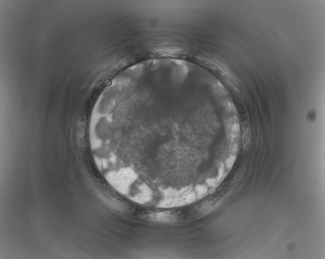 X0000116780365201001281659