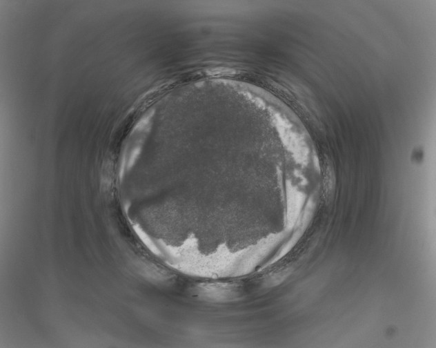 X0000116780367201001281659