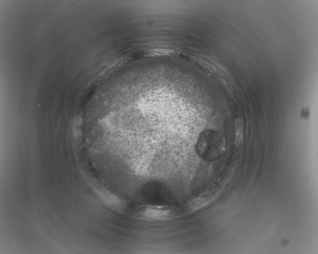 X0000116780369201001281659