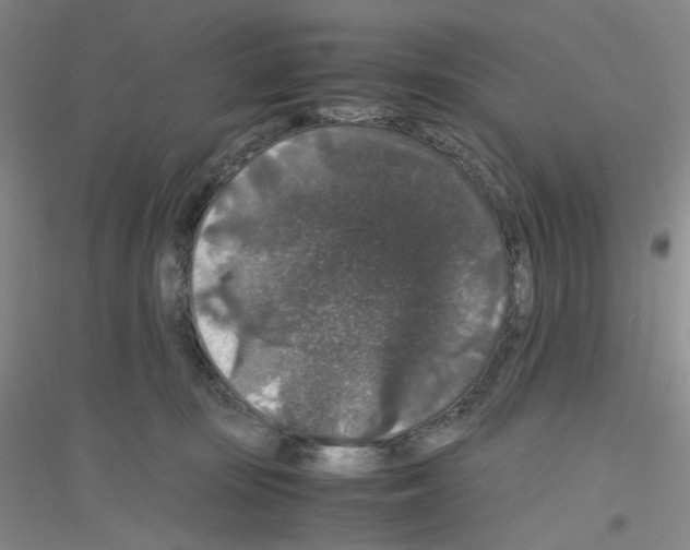 X0000116780371201001281659