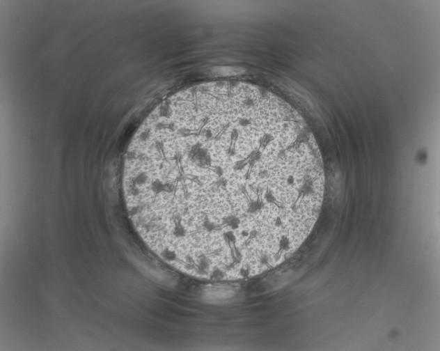 X0000116780373201001281659