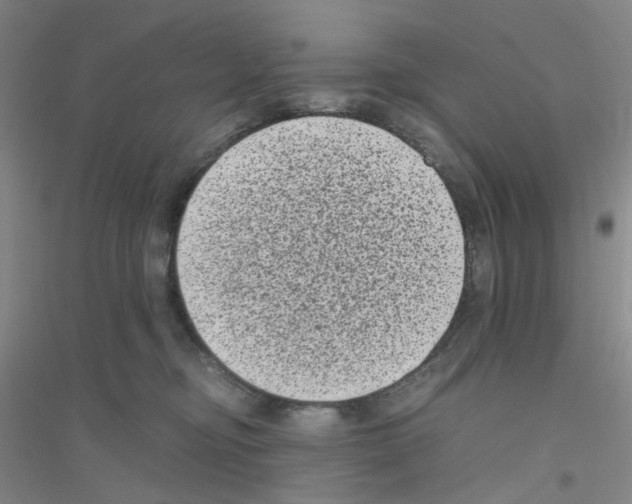 X0000116780374201001281659