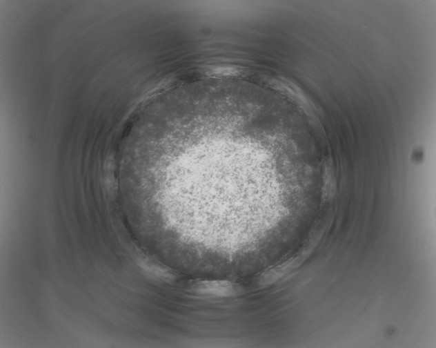 X0000116780377201001281659