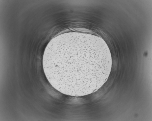 X0000116780379201001281659