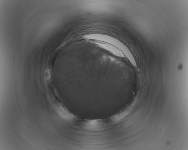 X0000116780382201001281659