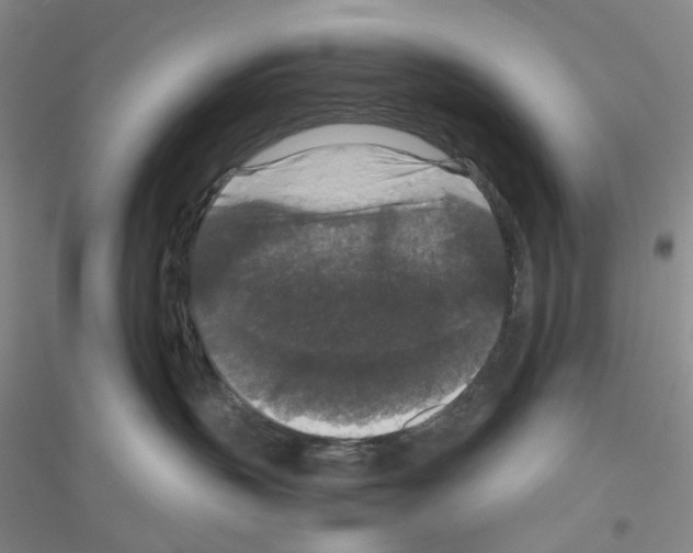 X0000116780383201001281659