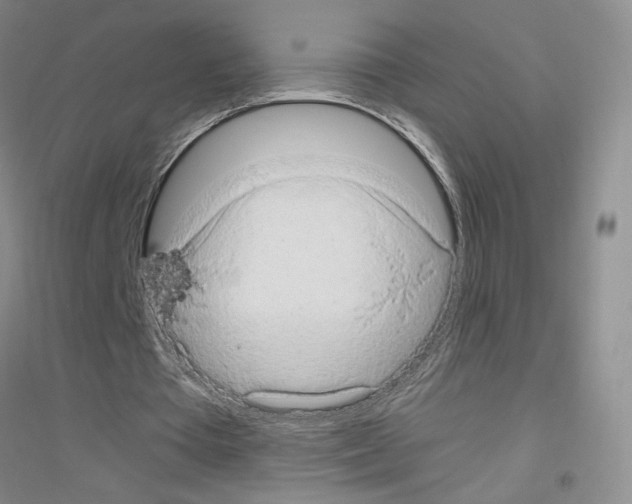 X0000116780385201001281658