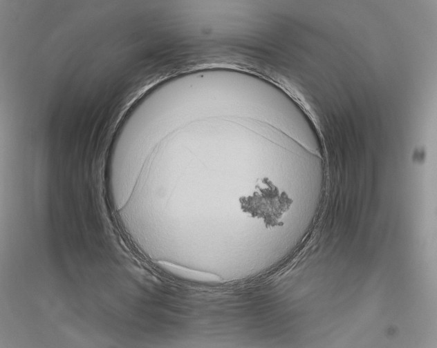 X0000116780386201001281658