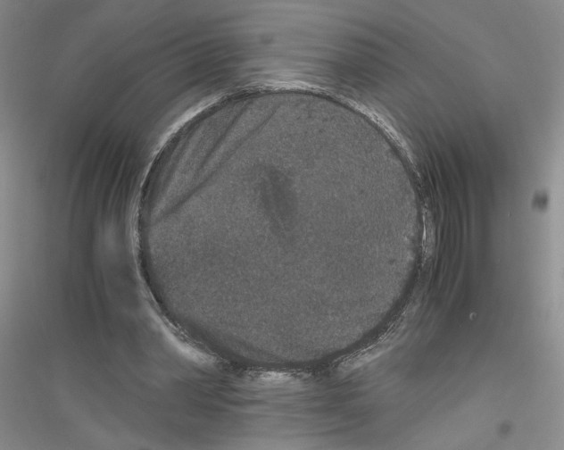 X0000116780390201001281658