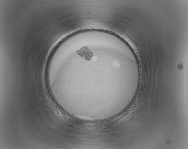 X0000116780391201001281658