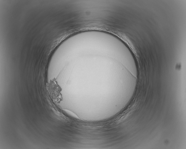 X0000116780393201001281658