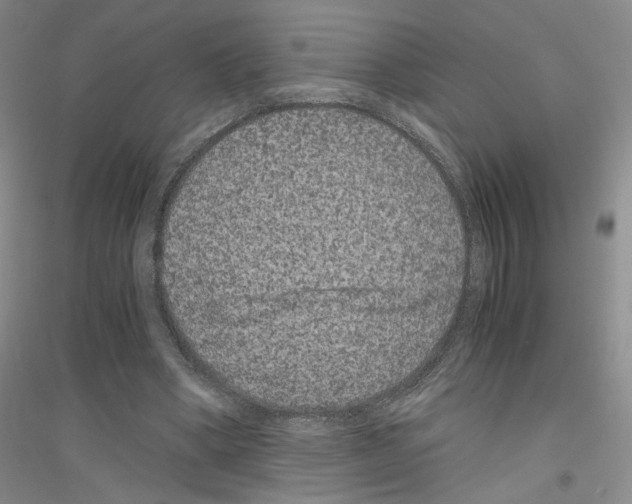 X0000116780394201001281658