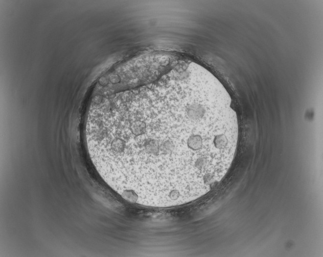 X0000116780395201001281658