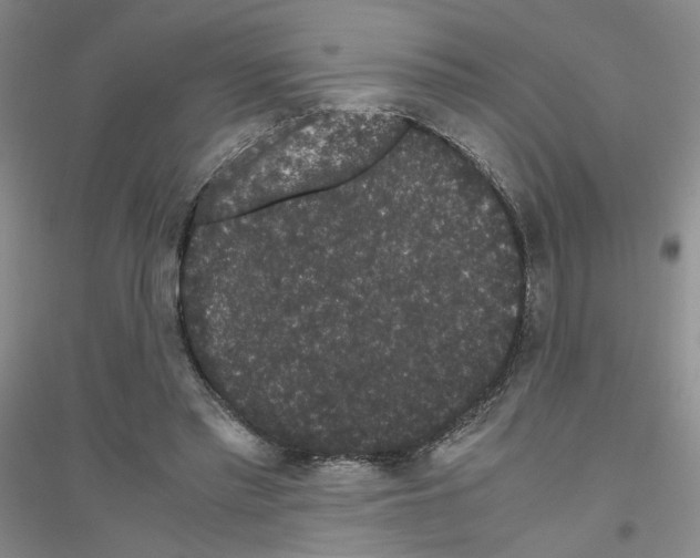 X0000116780397201001281658