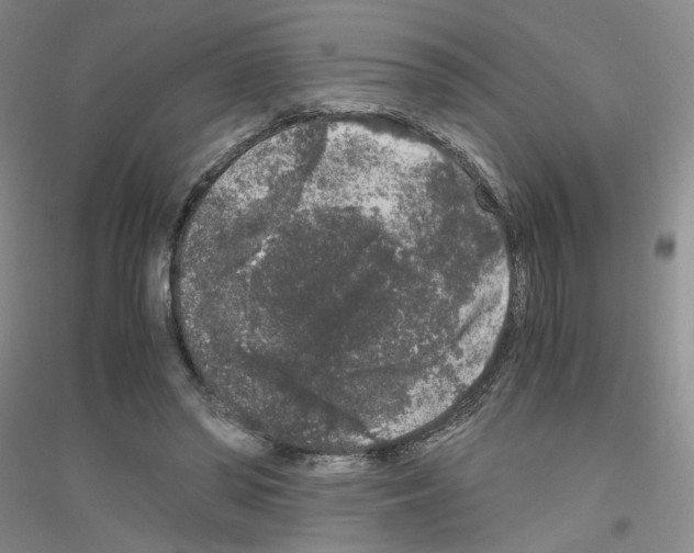 X0000116780398201001281658