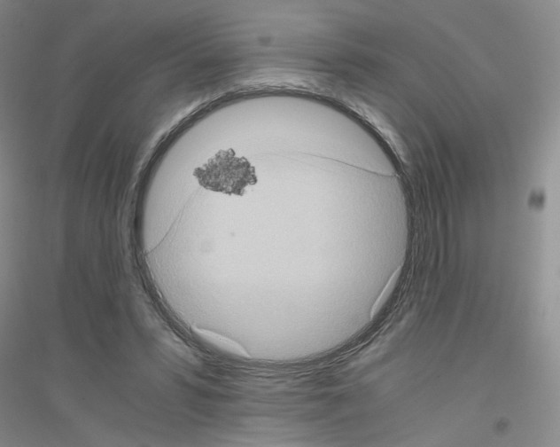 X0000116780399201001281658