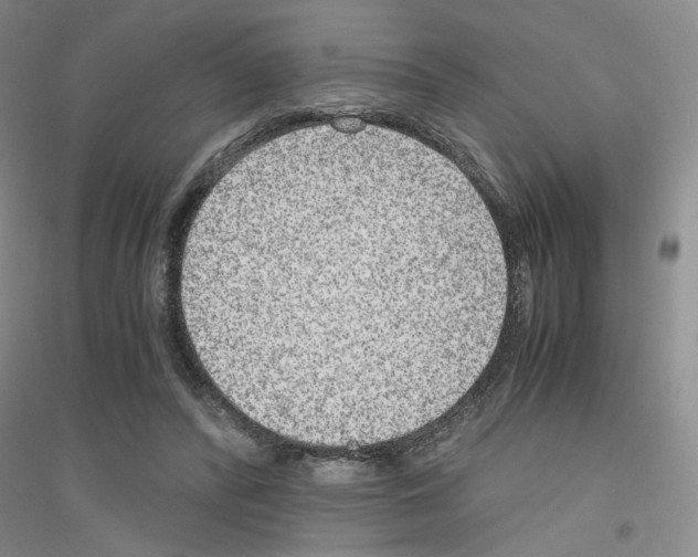 X0000116780400201001281658