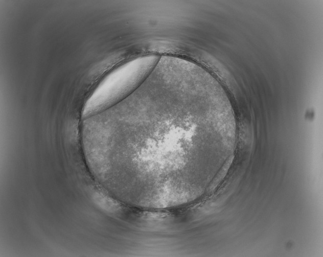 X0000116780401201001281658