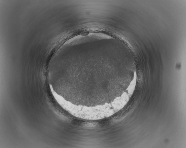 X0000116780402201001281658