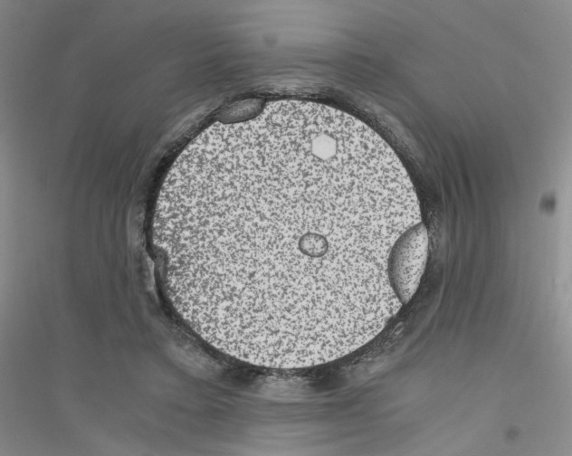 X0000116780403201001281658