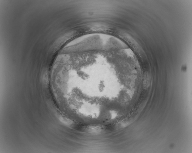 X0000116780405201001281658