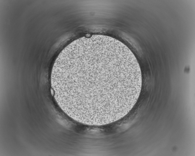 X0000116780407201001281658