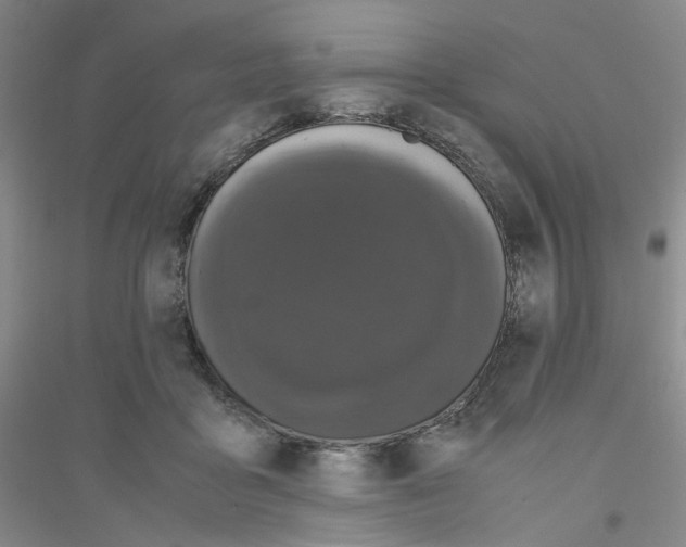 X0000116780411201001281658