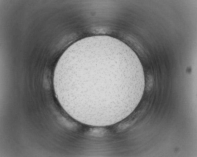 X0000116780414201001281658