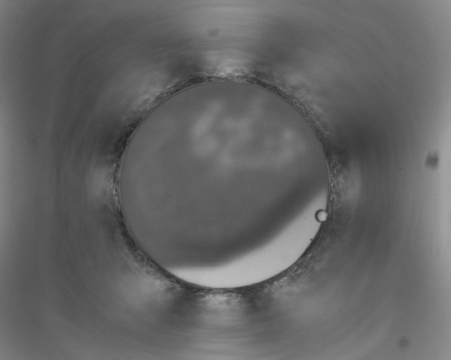 X0000116780415201001281658