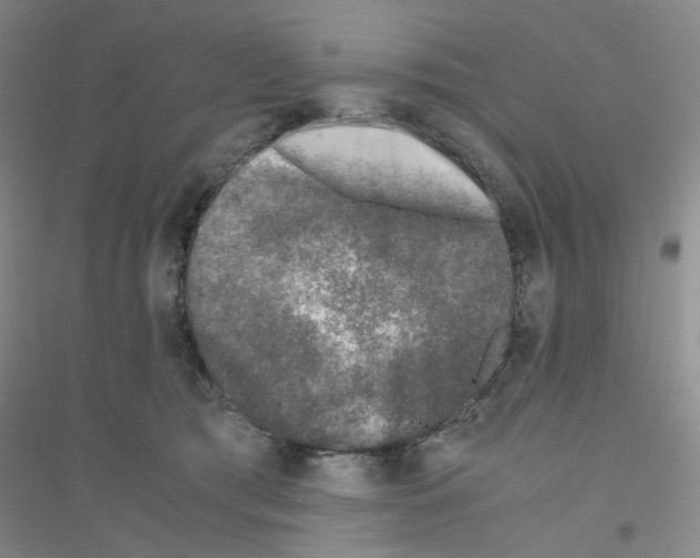 X0000116780417201001281658