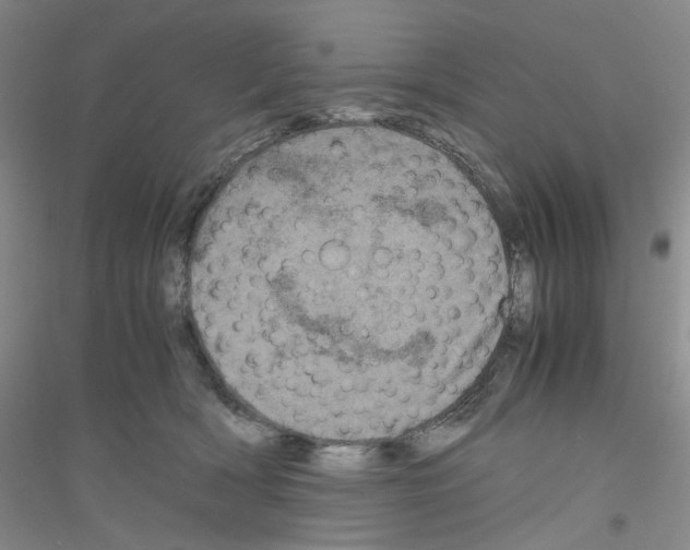 X0000116780418201001281658