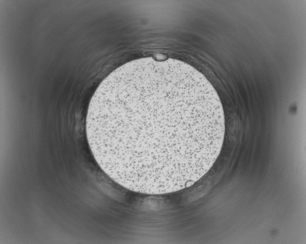 X0000116780420201001281658