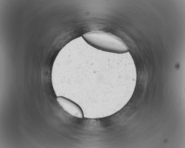 X0000116780421201001281658