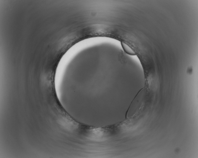 X0000116780423201001281658