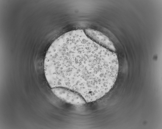 X0000116780425201001281658