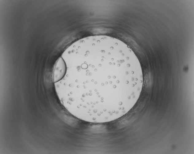 X0000116780426201001281658