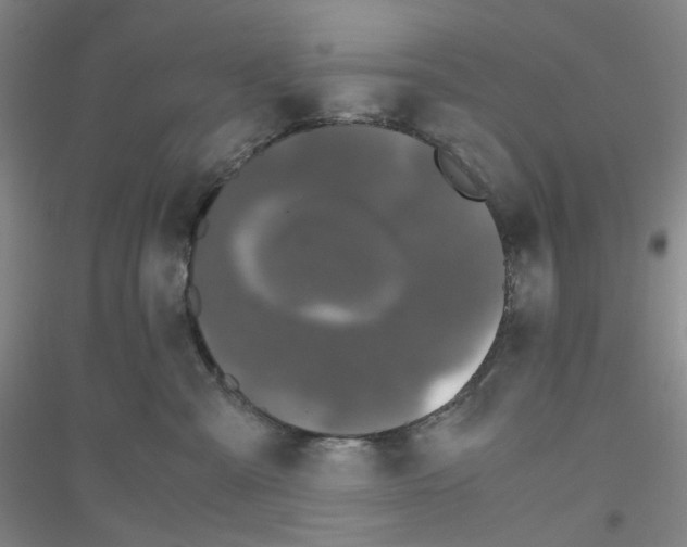 X0000116780427201001281658