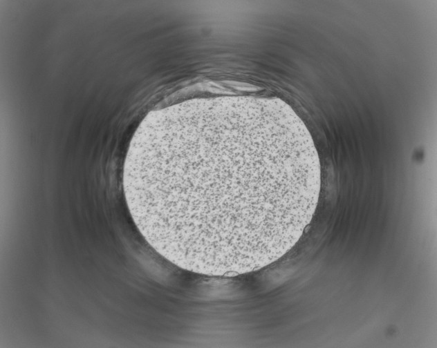 X0000116780428201001281658