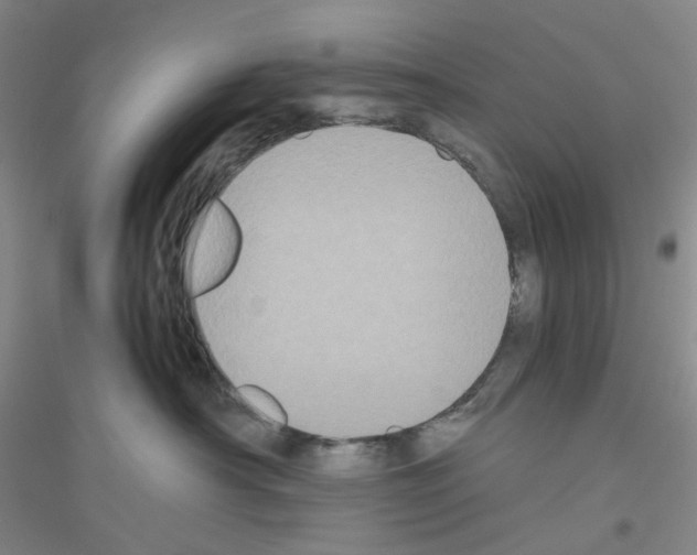 X0000116780430201001281658