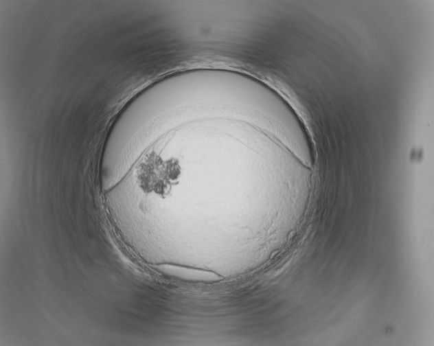 X0000116780433201001281657